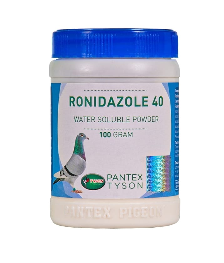 %20RONIDAZOLE%2040%20