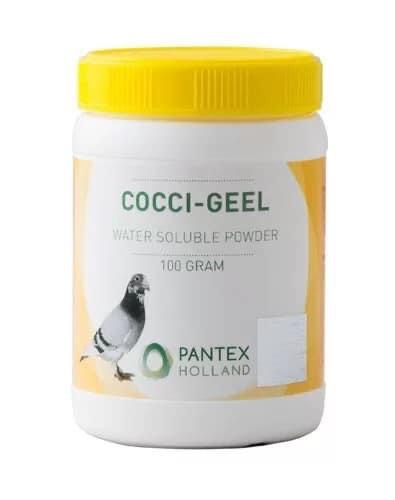 Coccıgel%20pantex